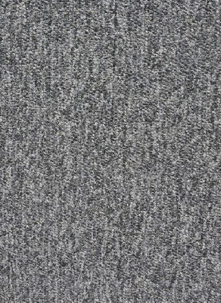 Labradoodle Wool