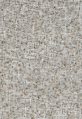 Astonished Parchment
