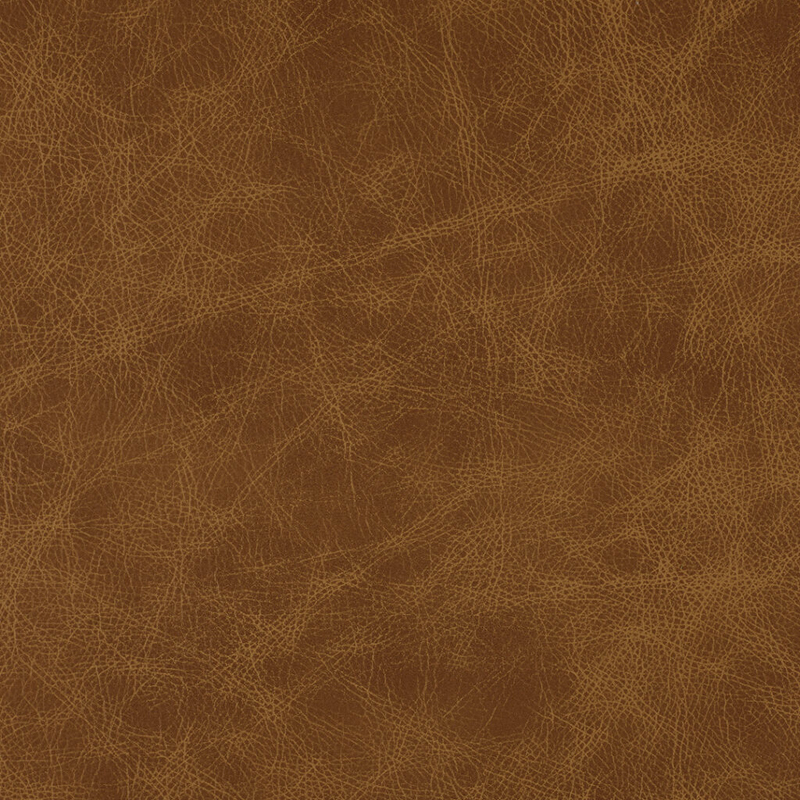 Saloon Kodiak