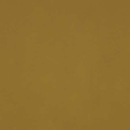 Bennu Mustard
